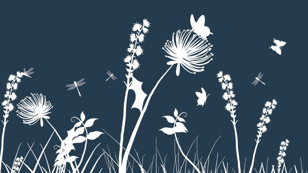 graafinen kuva nurmesta