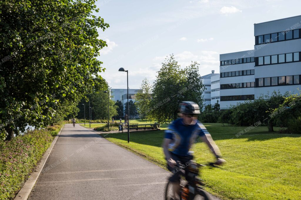 ulkokuva rakennuksesta puiston takaa